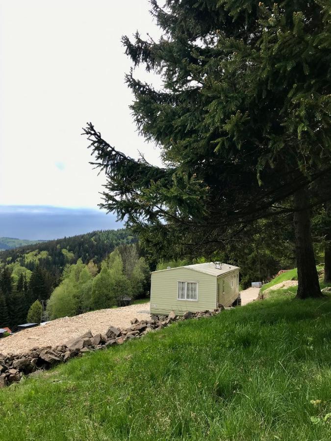 فندق Blick Lądek-Zdrój المظهر الخارجي الصورة